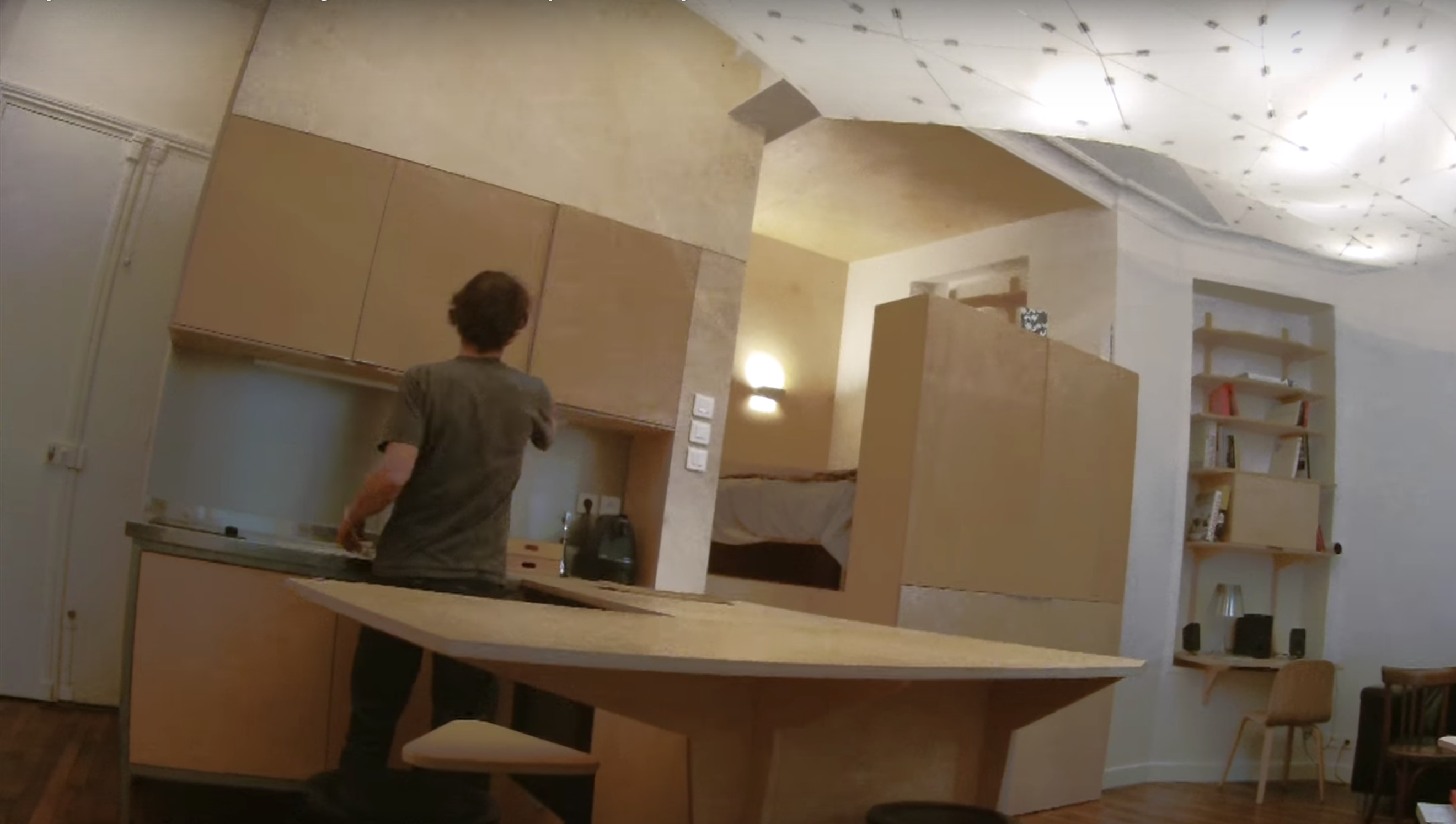 Plywood bedroom hangs as a nest over printed tiny Paris flat